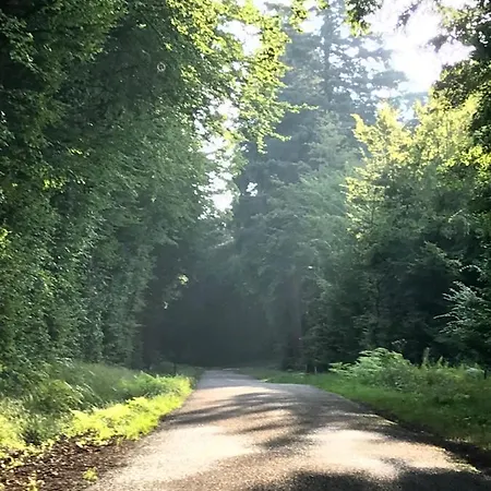 Bed & Breakfast Maison D Hotes Pivoine Et Colibri 3*