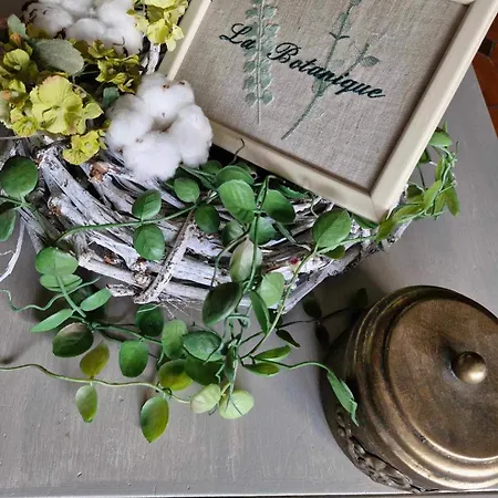 Maison D Hotes Pivoine Et Colibri Bed & Breakfast Domfessel