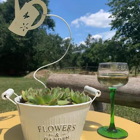 Bed and Breakfast Maison D Hotes Pivoine Et Colibri