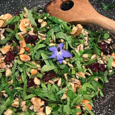 Bed and Breakfast Maison D Hotes Pivoine Et Colibri